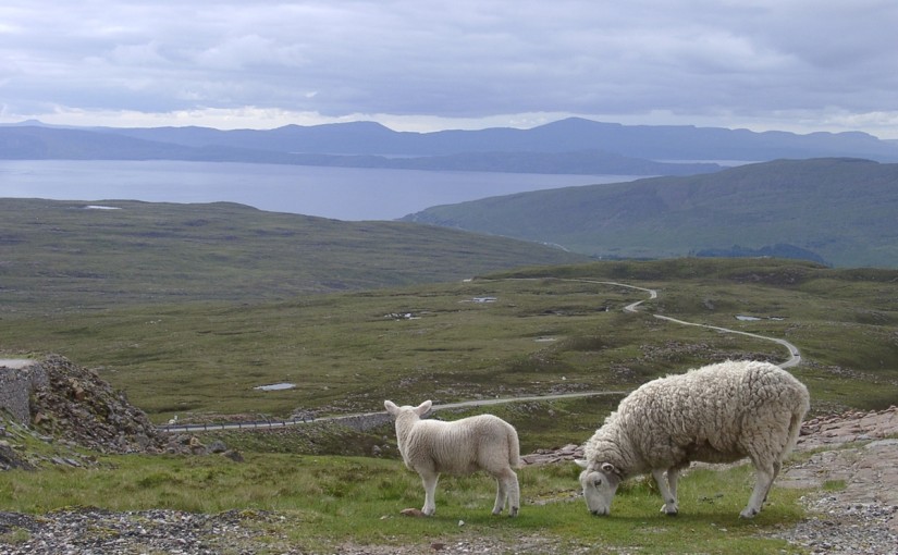 Schottland 2004